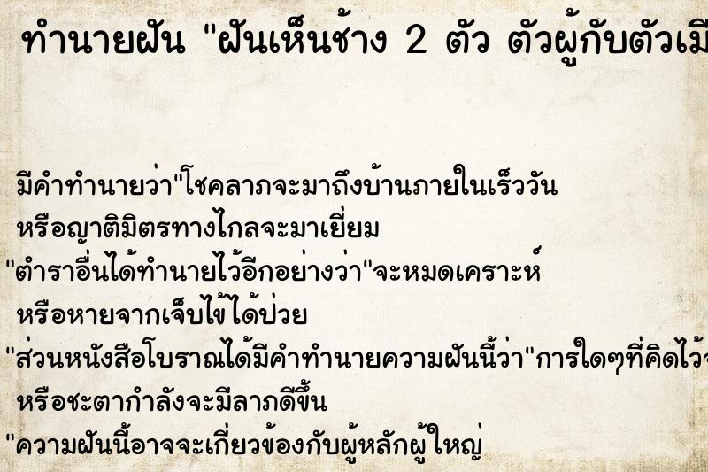 ทำนายฝัน ฝันเห็นช้าง 2 ตัว ตัวผู้กับตัวเมีย